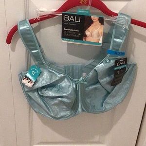 Bali Satin Tracings Pale Seafoam Ultimate Smoothing Minimizer bra 38DDD $15.00